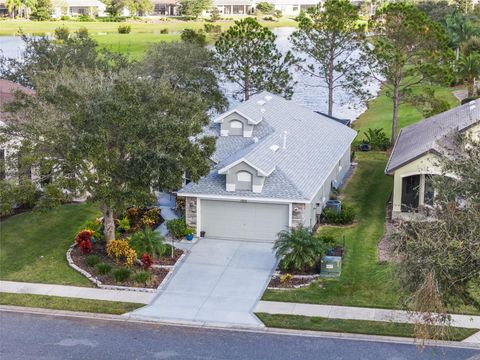 A home in MOUNT DORA