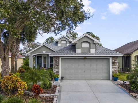 A home in MOUNT DORA