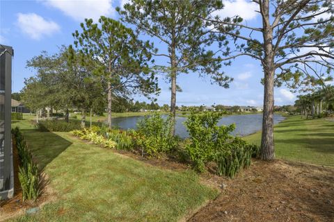 A home in MOUNT DORA