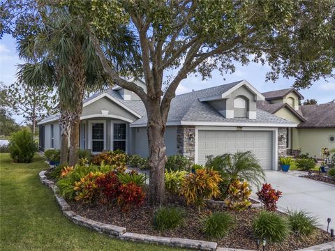 A home in MOUNT DORA