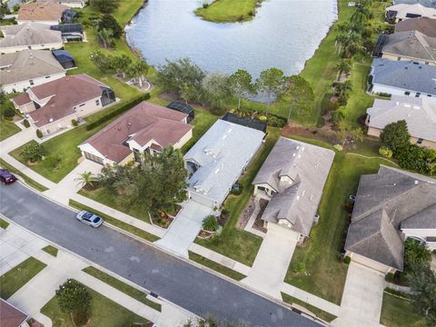 A home in MOUNT DORA