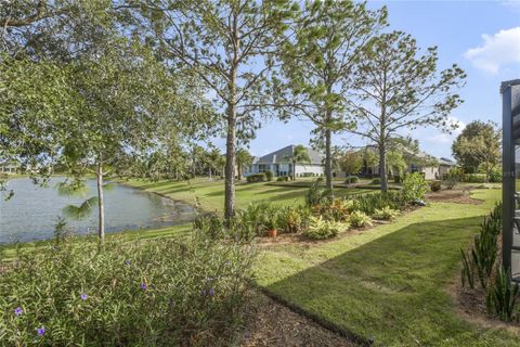 A home in MOUNT DORA