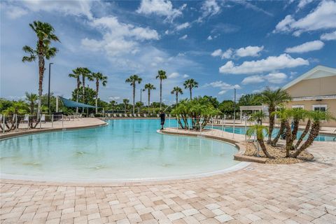 A home in MOUNT DORA