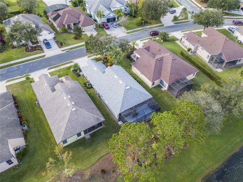 A home in MOUNT DORA