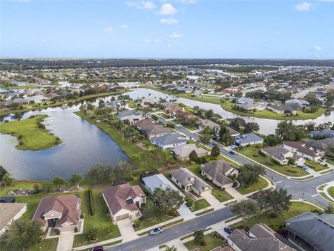 A home in MOUNT DORA