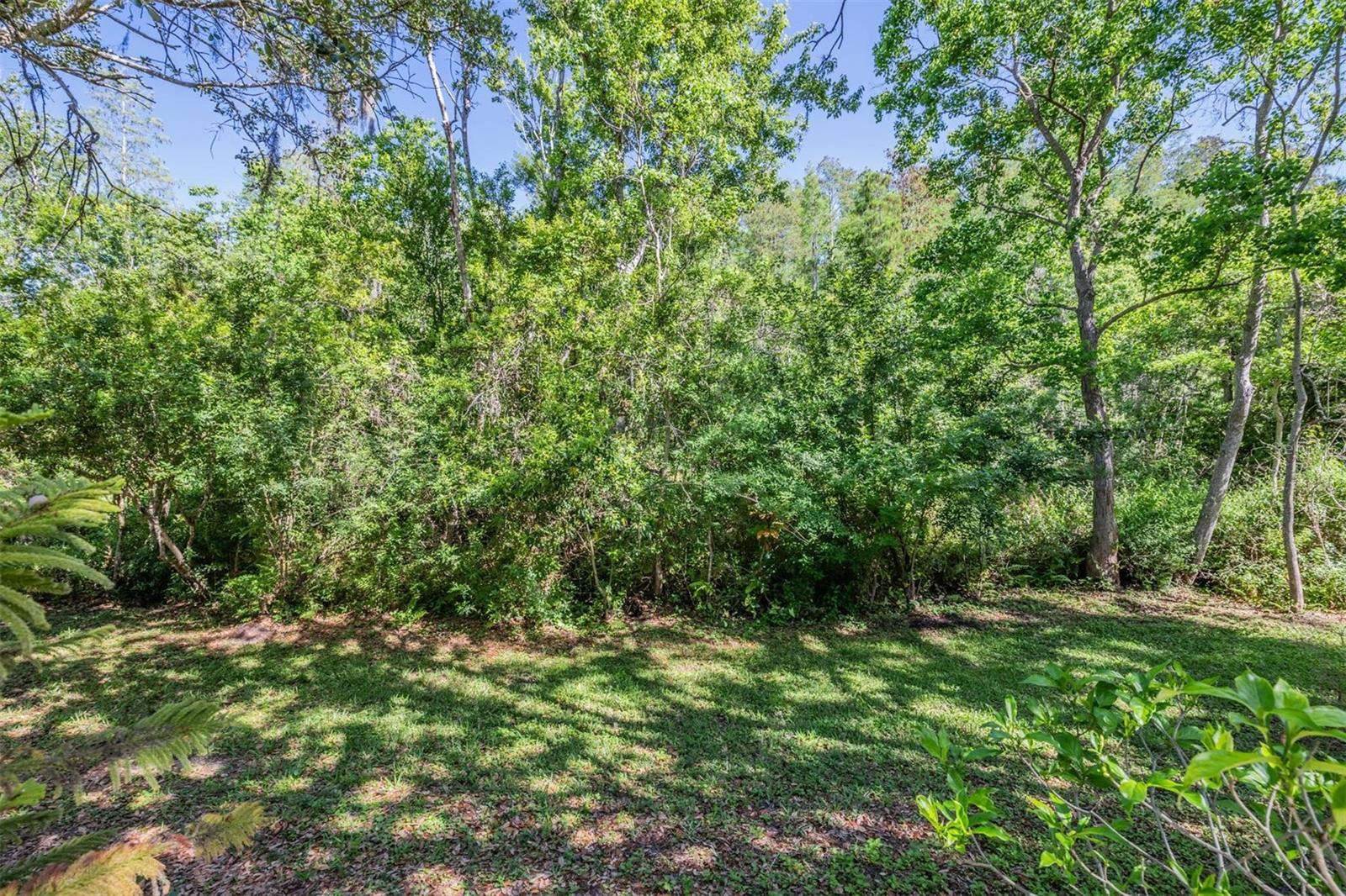 CARROLLWOOD KEY - Residential