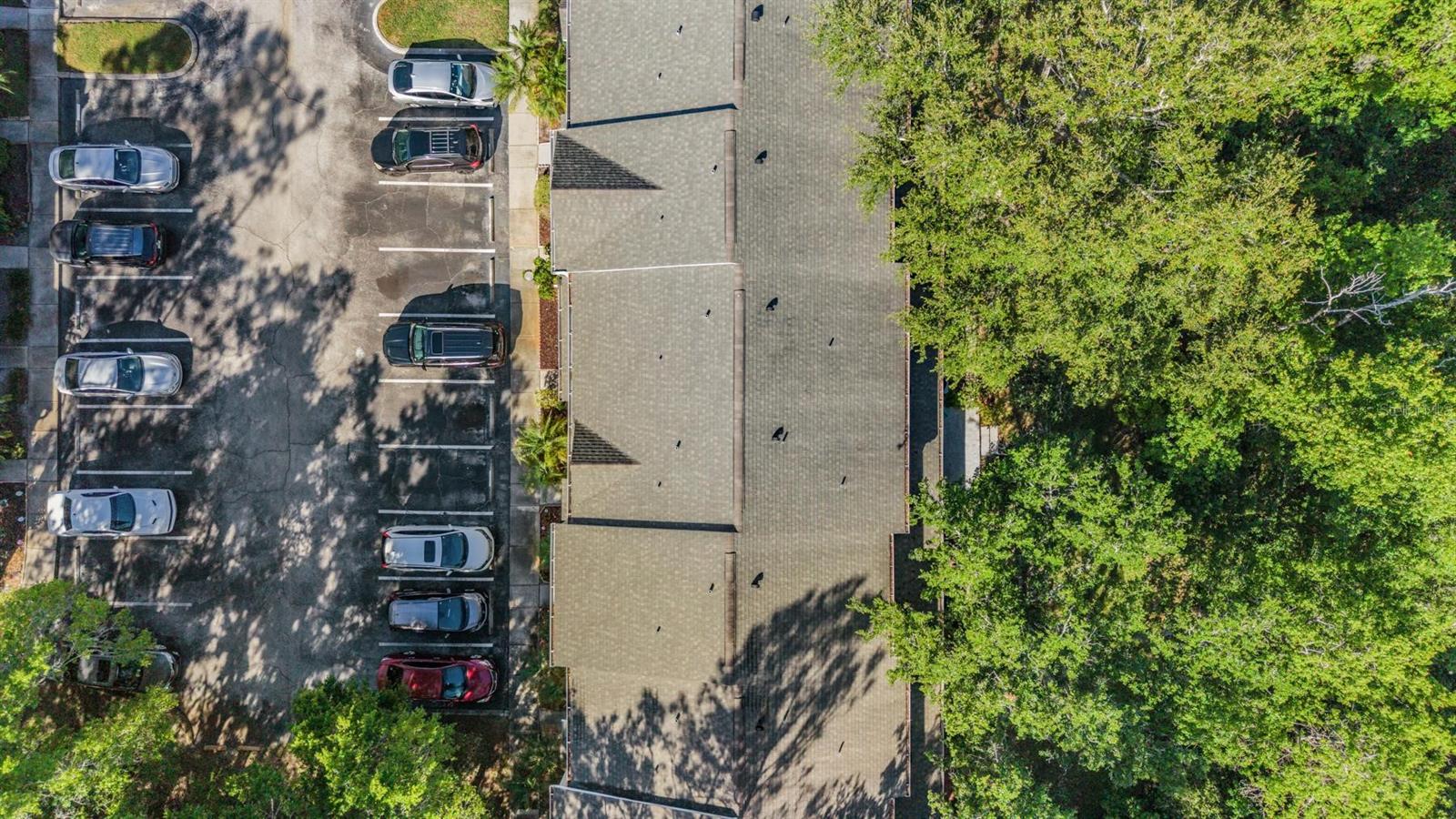 CARROLLWOOD KEY - Residential