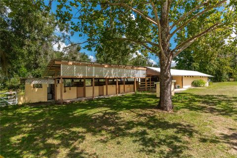 Tiny photo for 13371 NE Highway 27 Alt, Williston, FL 32696 (MLS # OM710138)