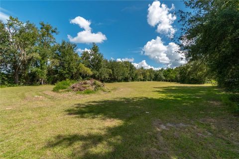 Tiny photo for 13371 NE Highway 27 Alt, Williston, FL 32696 (MLS # OM710138)