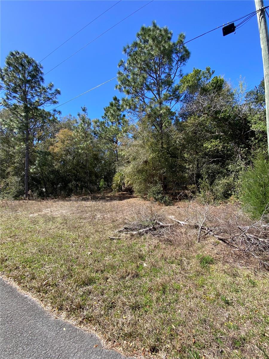 Welcome to this exceptional vacant lot in Crystal River, where your dream home awaits! Located at 8630 N Catapane Loop, this high and dry property offers the perfect canvas for your new residence. Situated on a well-maintained paved road, this lot provides a peaceful setting while keeping you connected to everything the area has to offer.
The location strikes an ideal balance between tranquility and convenience. You'll be just minutes away from both Crystal River and Dunnellon, giving you easy access to a wide range of amenities. The area boasts excellent healthcare facilities, diverse dining options, and plenty of shopping destinations.
Nature enthusiasts will appreciate the proximity to Florida's stunning wildlife and river systems. Whether you enjoy boating, fishing, or simply observing local flora and fauna, you'll find endless opportunities for outdoor recreation nearby.
This property presents an exciting opportunity in a growing area. Crystal River's increasing popularity makes this lot an attractive investment for those looking to build their future home. The residential zoning allows for various home designs, giving you the flexibility to create the perfect living space that suits your needs and lifestyle.
Don't miss this chance to establish roots in one of Florida's most charming communities. With its strategic location, natural surroundings, and growth potential, this property offers everything you need to start building your dream home.
Contact us today to learn more about this promising opportunity in Crystal River!
