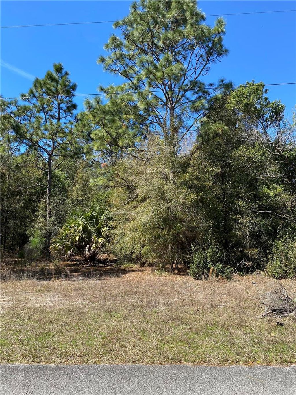Photo of 8630 N Catapane Loop, Crystal River, FL 34428 (MLS # O6287531)