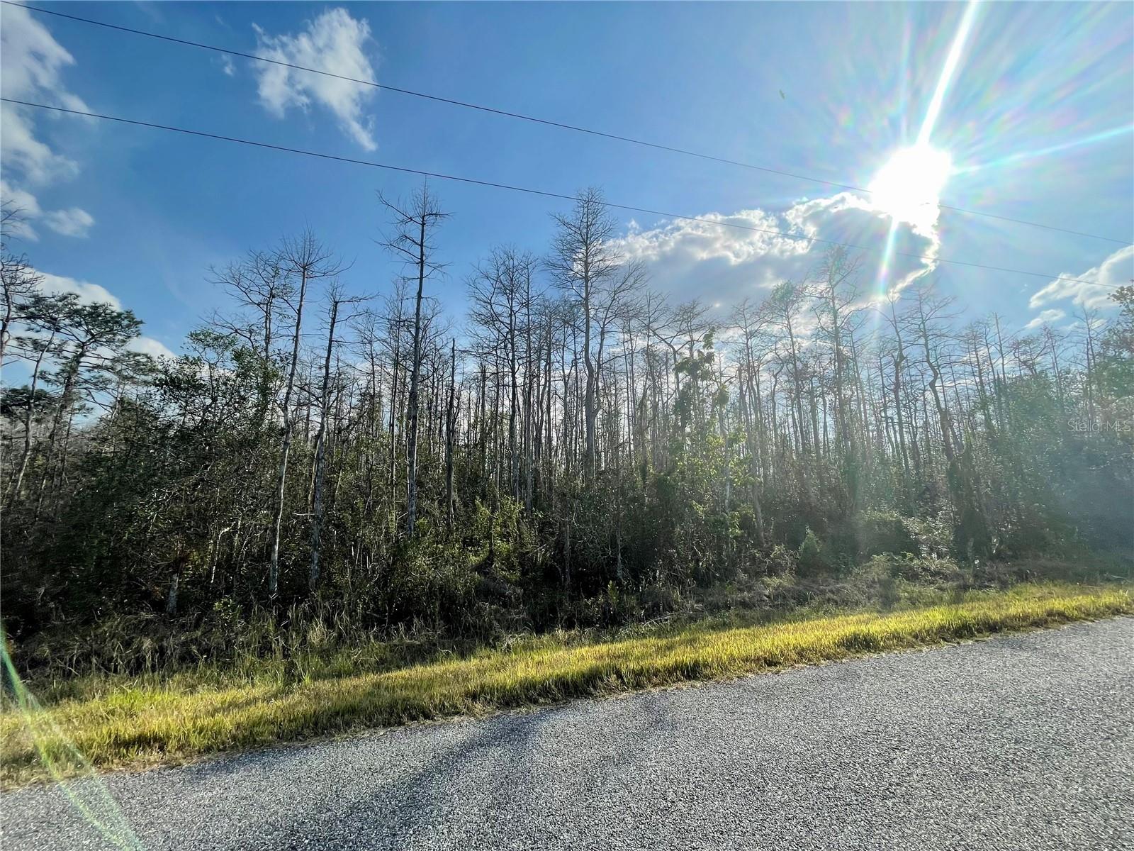 CANAVERAL ACRES UNIT 02 - Land