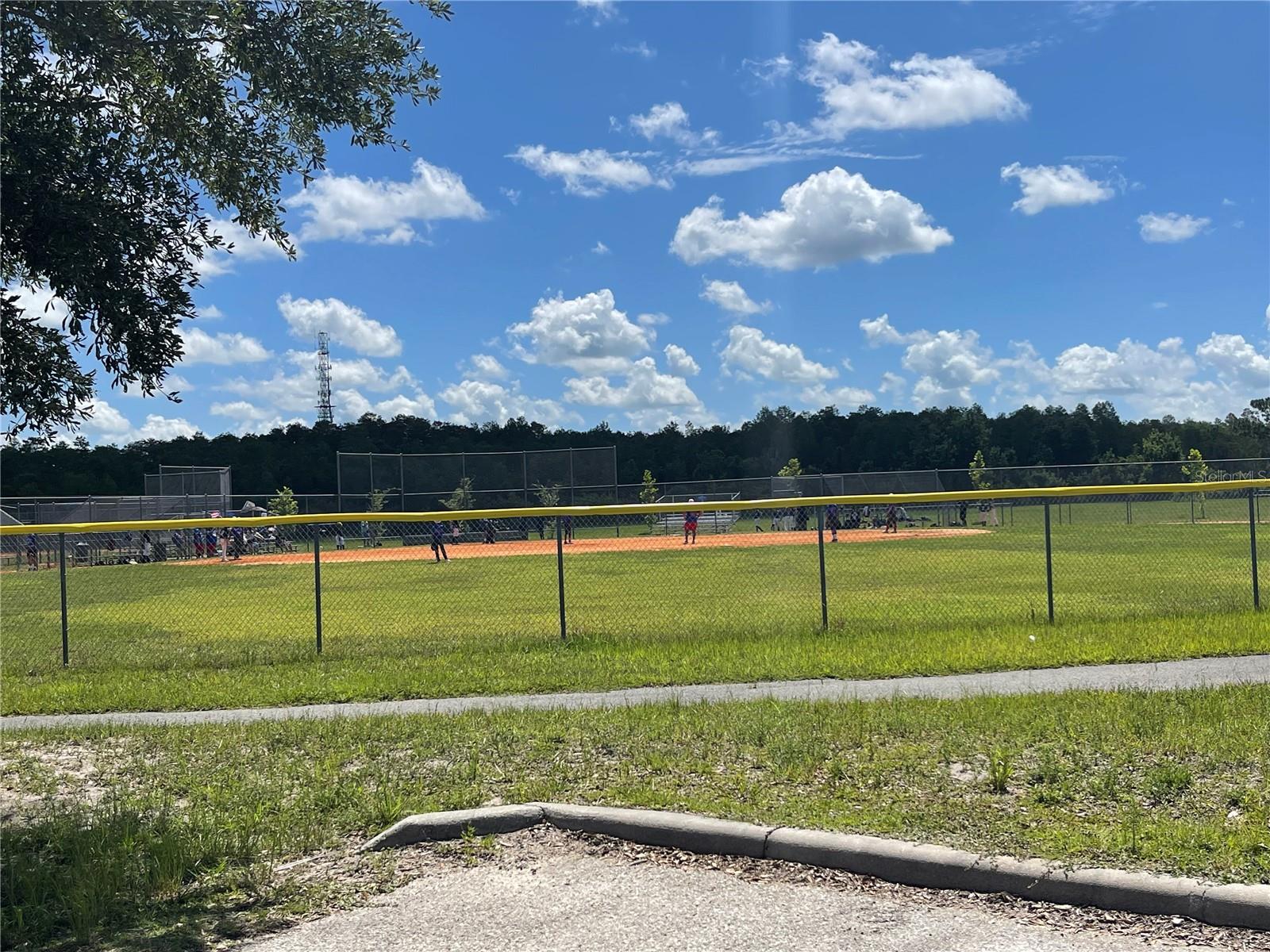 CANAVERAL ACRES UNIT 02 - Land