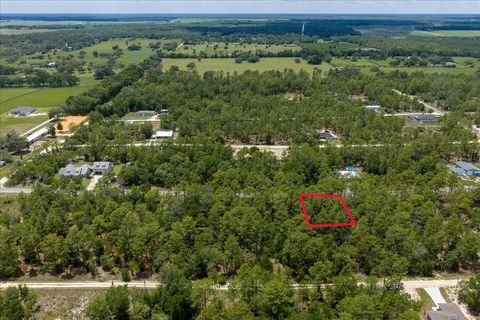Tiny photo for 150th Avenue, Williston, FL 32696 (MLS # OM728213)
