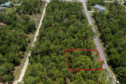 Tiny photo for 150th Avenue, Williston, FL 32696 (MLS # OM728213)