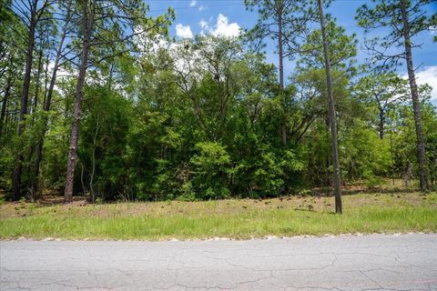 Tiny photo for 150th Avenue, Williston, FL 32696 (MLS # OM728213)
