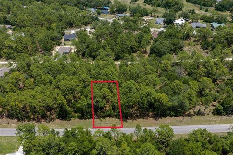 Photo of 150th Avenue, Williston, FL 32696 (MLS # OM728213)