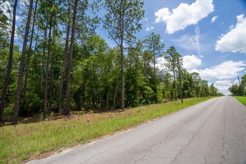 Tiny photo for 150th Avenue, Williston, FL 32696 (MLS # OM728213)