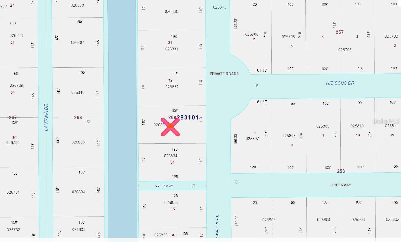 INDIAN LAKE ESTATES - Land