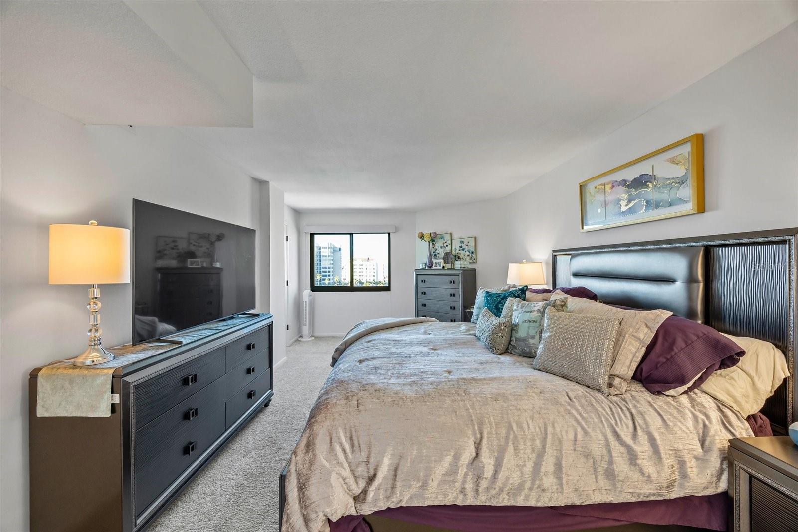 HARBORAGE CONDO BELLEAIR BEACH - Residential