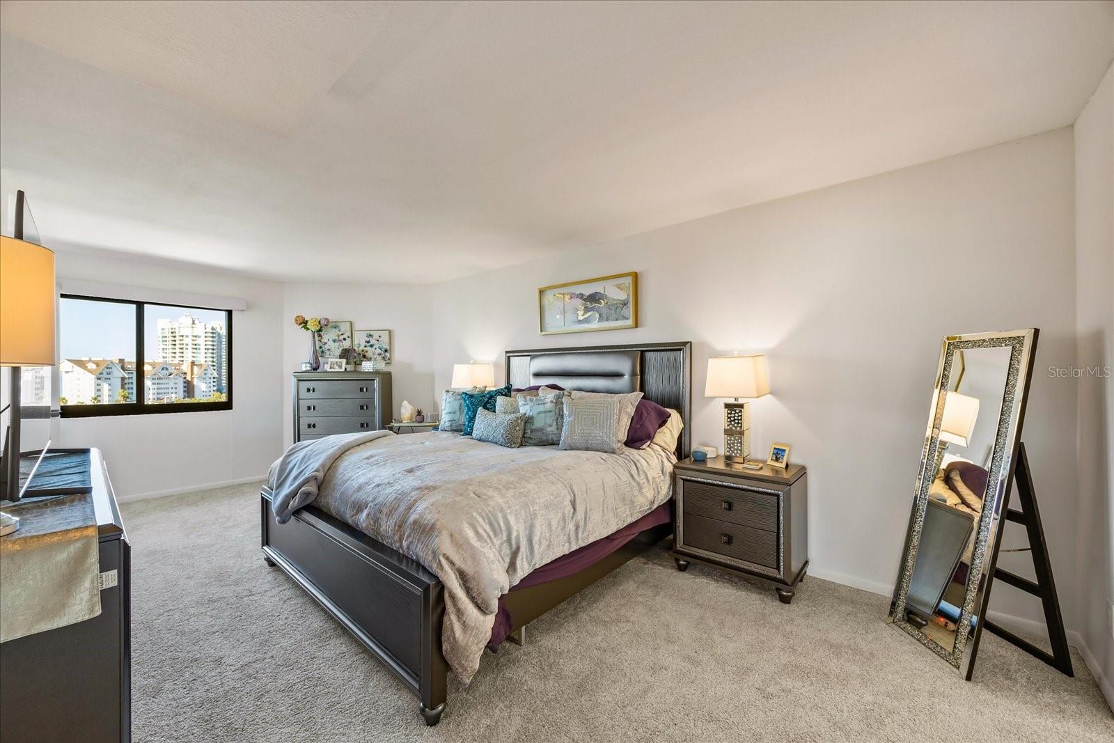 HARBORAGE CONDO BELLEAIR BEACH - Residential