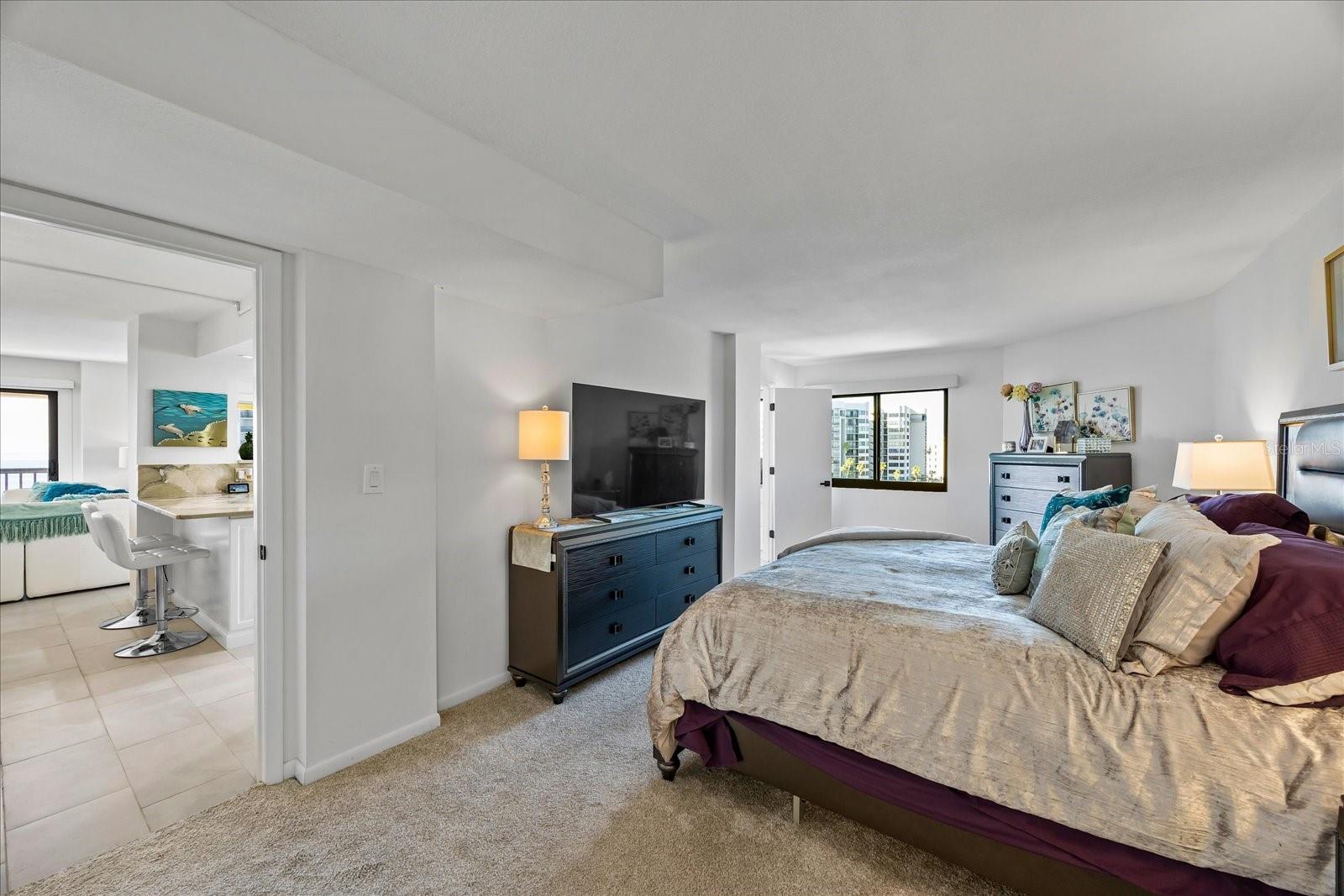 HARBORAGE CONDO BELLEAIR BEACH - Residential