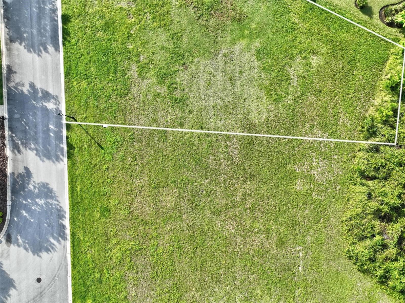 CONSERVATORY/HAMMOCK BEACH - Land