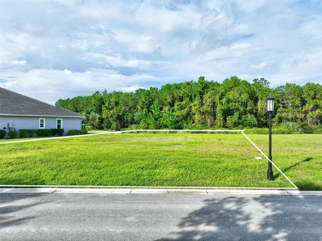 Photo of 102 Marsh Elder Square, Palm Coast, FL 32137 (MLS # FC315064)