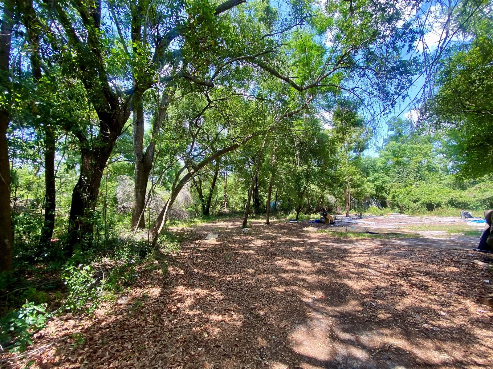 A great opportunity to acquire .45 acres of residential land in the thriving Apopka area. This property is equipped with a well and septic offering significant advantages for future development. With no HOA, owners enjoy greater flexibility in the design and use of the property. Conveniently located near major roadways, shopping centers, schools, and recreational areas such as Wekiwa Springs State Park. Opportunities for land ownership in this rapidly growing area are becoming increasingly rare. Schedule your showing today.
