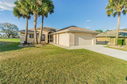 11048 MOSHIE LANE SAN ANTONIO FL 33576