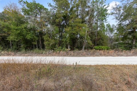 000 SW 28TH LANE OCALA FL 34481