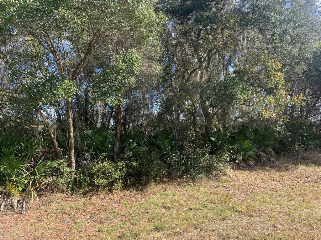 Photo of 39926 Forest Drive, Eustis, FL 32726 (MLS # O6373091)