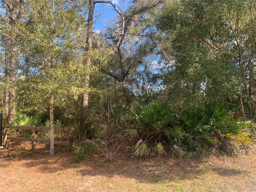 Photo of 39926 Forest Drive, Eustis, FL 32726 (MLS # O6373091)