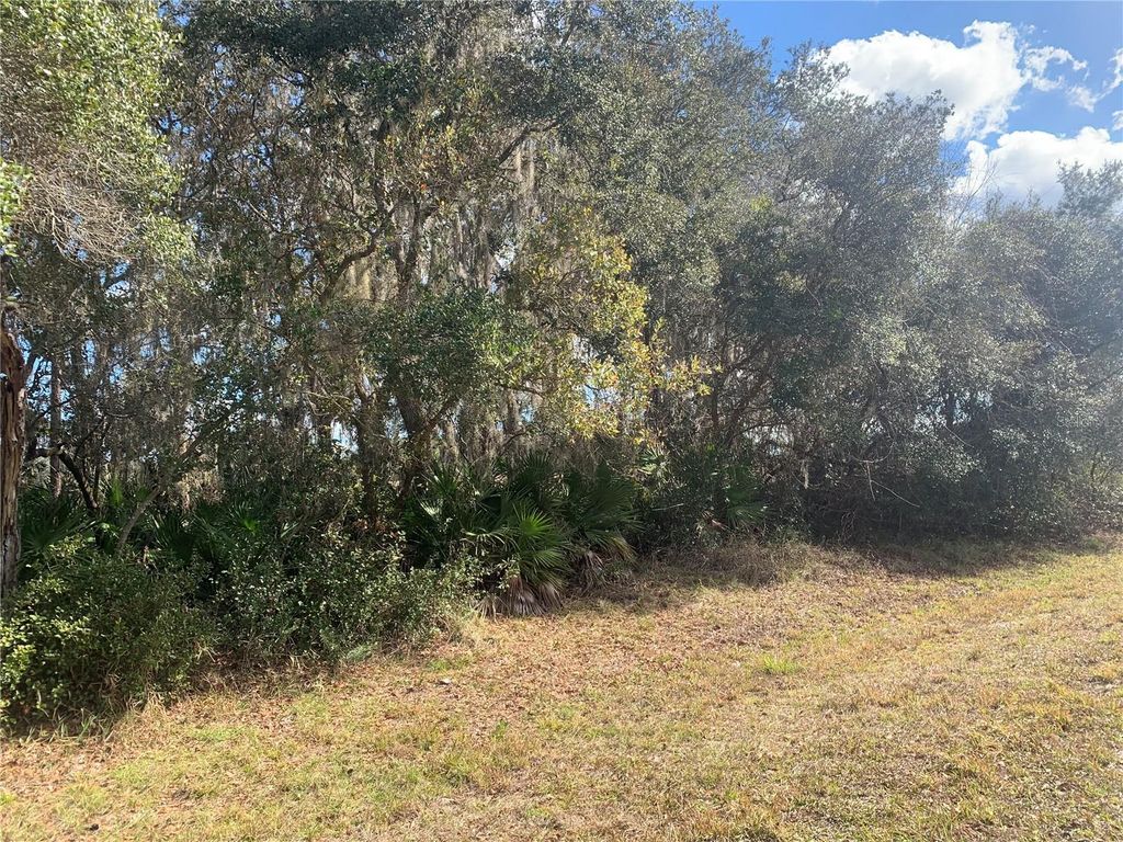 Photo of 39926 Forest Drive, Eustis, FL 32726 (MLS # O6373091)