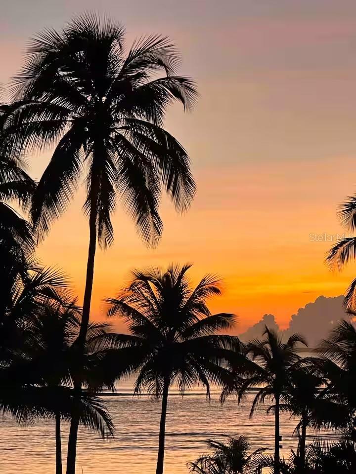 001 Punta Bandera BEACH 552