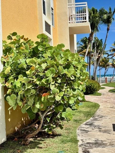 CONDO PUNTA BANDERA - Residential