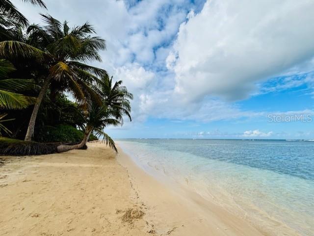 CONDO PUNTA BANDERA - Residential