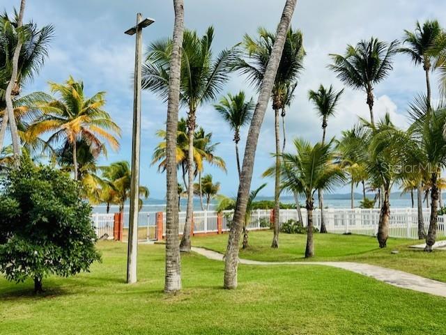 CONDO PUNTA BANDERA - Residential