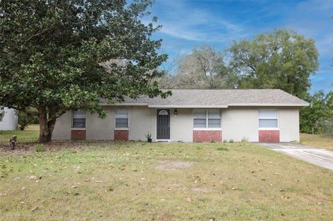 Photo of 411 W Gardenia Drive, Orange City, FL 32763 (MLS # O6376286)
