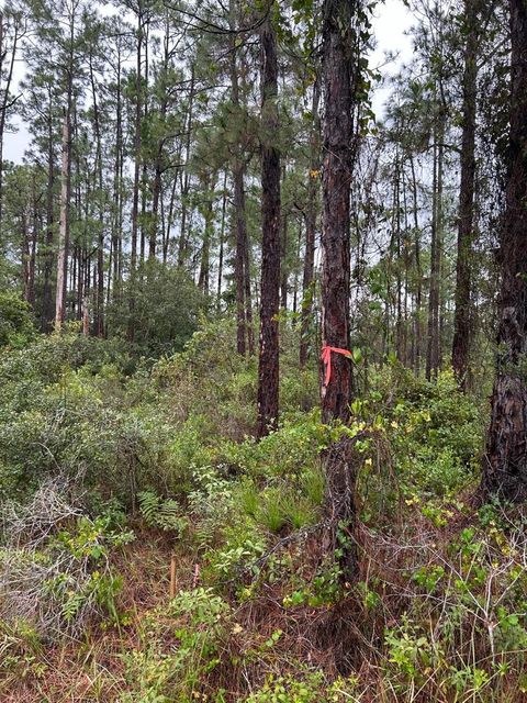 2811 53RD STREET W LEHIGH ACRES FL 33971