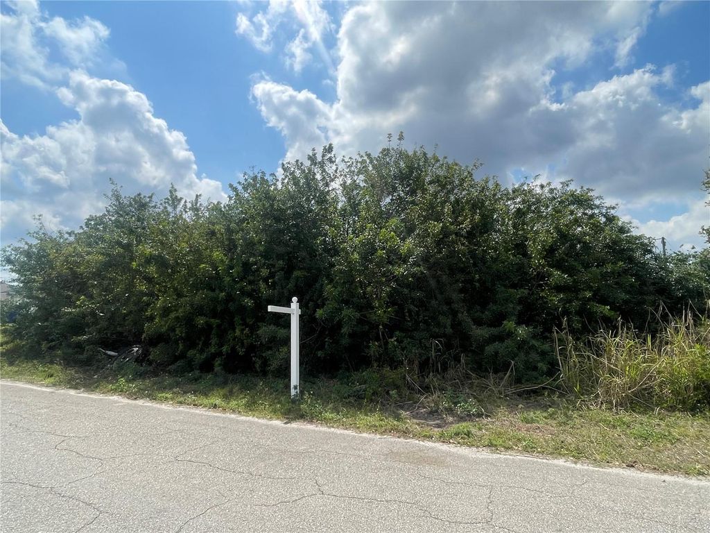 Photo of 1017 Albany Avenue, Lehigh Acres, FL 33971 (MLS # TB8488499)