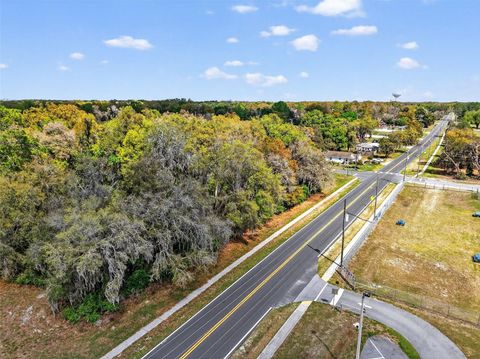 Tiny photo for S Old Wire Road, Wildwood, FL 34785 (MLS # L4960405)