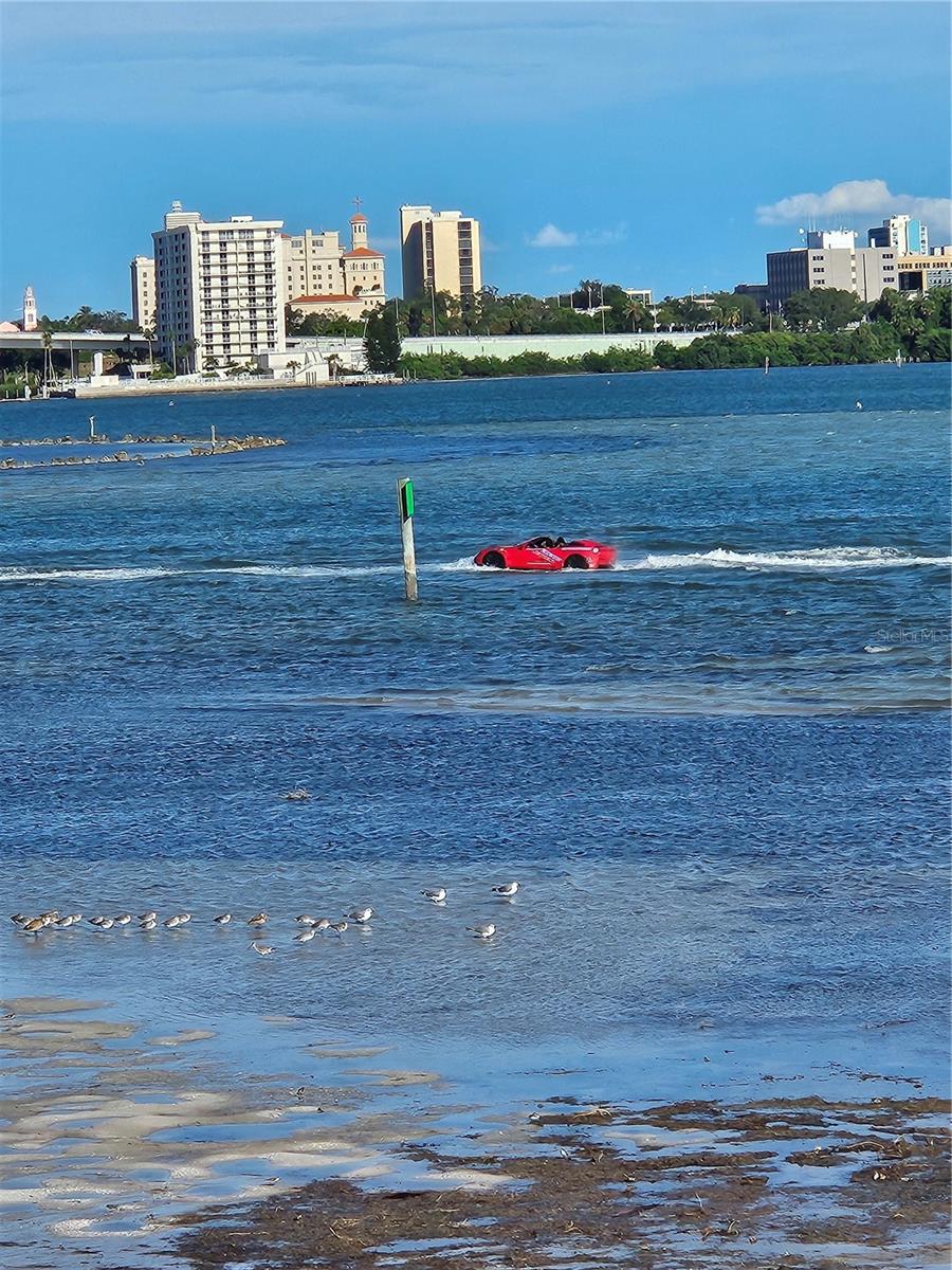 CLEARWATER POINT 8 TENNIS - Residential Lease