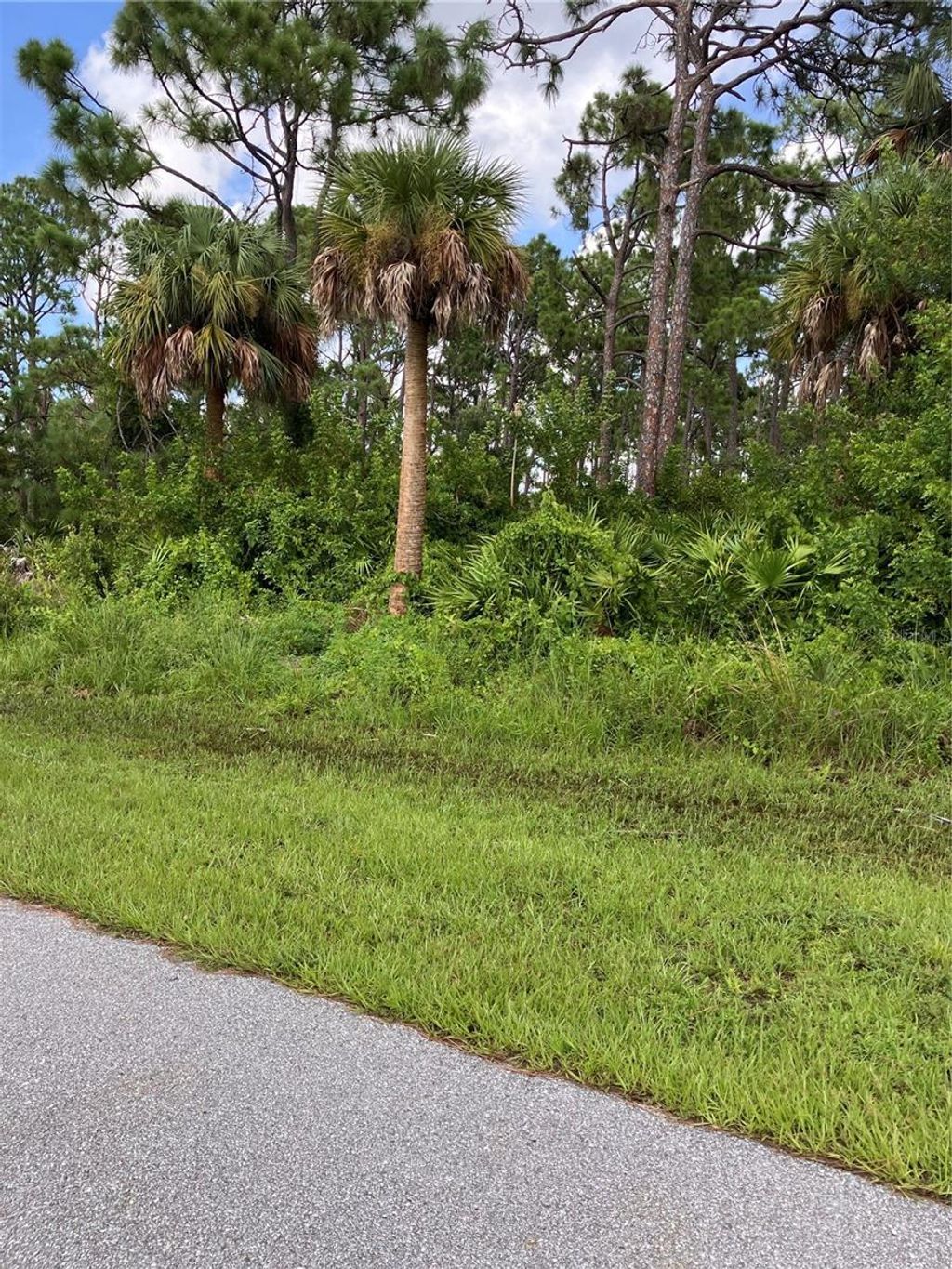 Photo of 12194 Dietrich Avenue, Port Charlotte, FL 33953 (MLS # C7516394)
