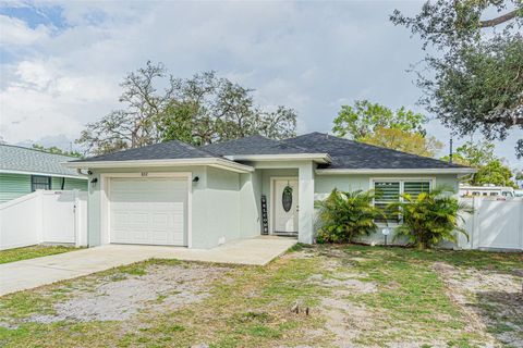 822 E MCEWEN AVENUE TAMPA FL 33612