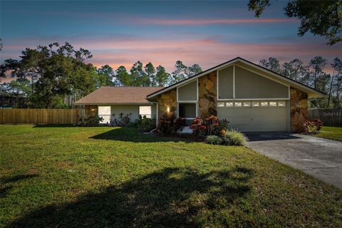 A home in LUTZ