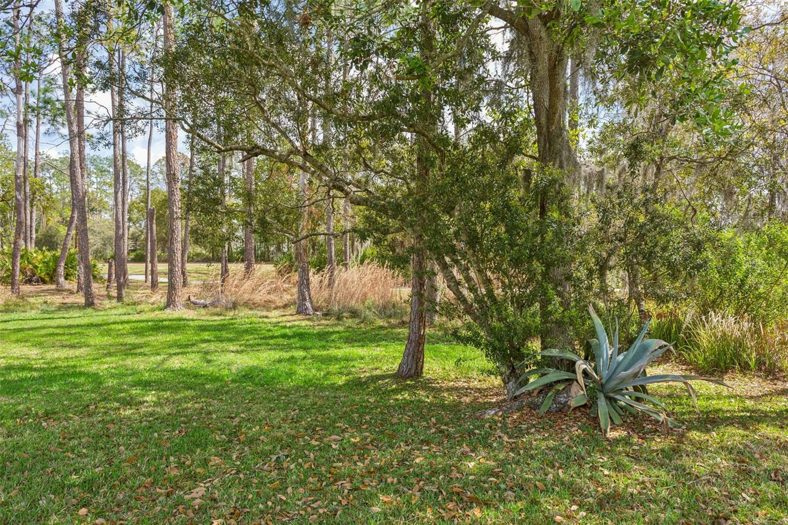 LAKE BERNADETTE PRCL 11 PH 03 - Residential