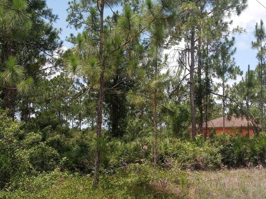 Come see this beautiful land here in the heart of Leigh High Acres. The land is full of possibilities! Thought of owning your own land to build your dream home? Well look no further! You too can own your very own and build. Located in a highly desirable area, this spacious lot provides ample room for designing and constructing your dream home. With plenty of space to accommodate your vision, let your imagination run wild as you plan and create a personalized oasis on this generous piece of land. Lehigh Acres is a thriving community known for its natural beauty and serene surroundings. Imagine waking up to breathtaking views, enjoying the tranquility of this peaceful neighborhood, and relishing the freedom to build a home that reflects your unique style and preferences. Land in this area are selling fast, underscoring the high demand for prime real estate. Don't miss out on this fantastic opportunity to secure your own slice of paradise.
(Seller willing to give a buyers credit of $4,000 to relocate tortoises)