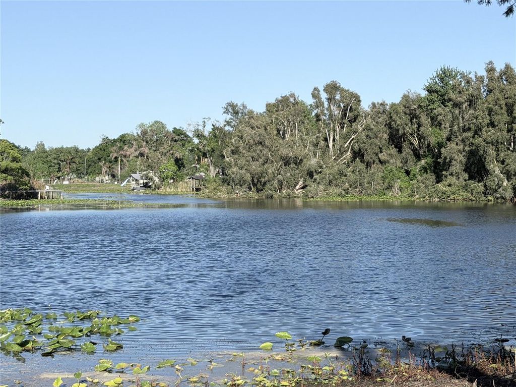 Photo of 11505 N Rome Avenue, Tampa, FL 33612 (MLS # TB8497394)