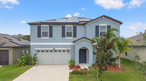 10348 SCARLET SKIMMER DRIVE RIVERVIEW FL 33578